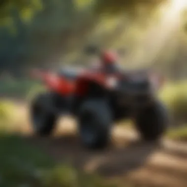 Magnificent Understanding 80cc ATVs: Availability, Features, and Considerations for Purchase