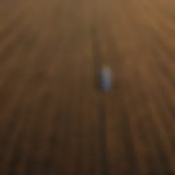 Aerial view of diverse crop fields showcasing agricultural positioning strategies