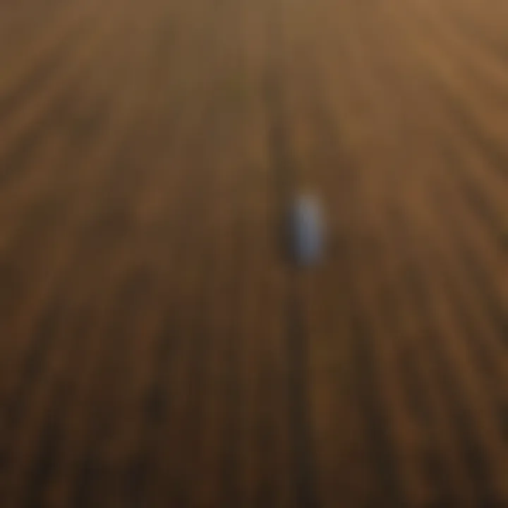 Aerial view of diverse crop fields showcasing agricultural positioning strategies