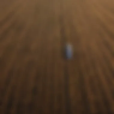Diverse Crop Fields Aerial view of diverse crop fields showcasing agricultural positioning strategies