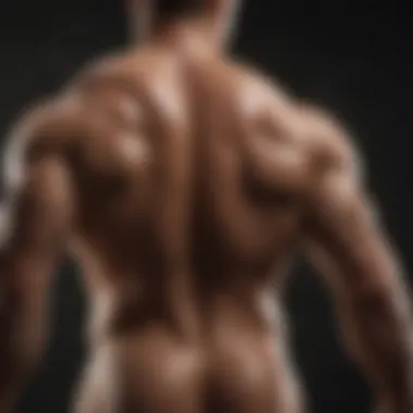Muscle Recovery and Amino Acids Muscle recovery process