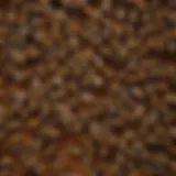 A detailed view of a traditional bee hive showcasing its structure