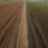 Aerial view of a gravel road winding through agricultural land