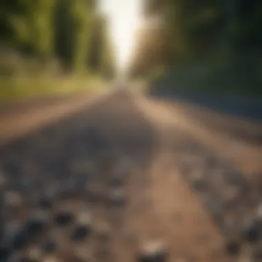 A well-maintained gravel road enhancing accessibility