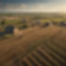 Rural landscape with farmland and bank