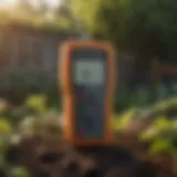 Affordable pH meter in a garden setting