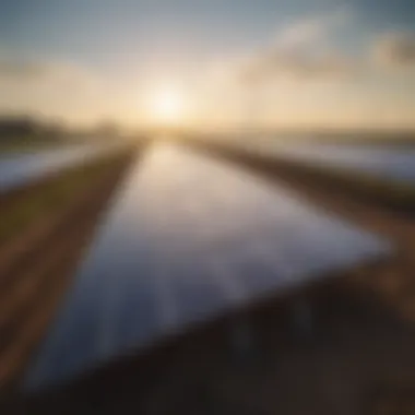 Solar Energy Utilization in Farming Close-up of solar panels installed on a farm.