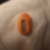 Close-up of a cattle ear tag displaying tick management technology