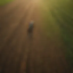 Aerial view of diverse agricultural fields reflecting sustainable practices