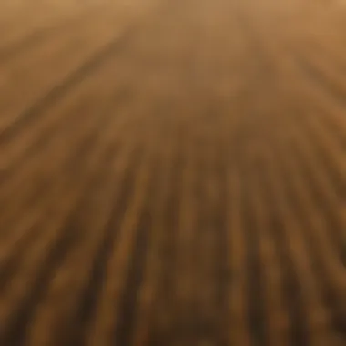 An aerial view of a vast wheat field ready for harvesting.