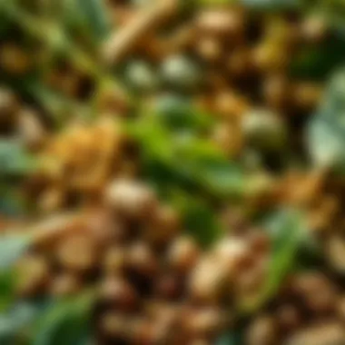 Varieties of Fungicides for Soybeans Different types of fungicides displayed