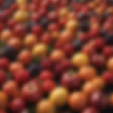 Seasonal Fruits for Optimal Nutrition Vibrant assortment of seasonal fruits