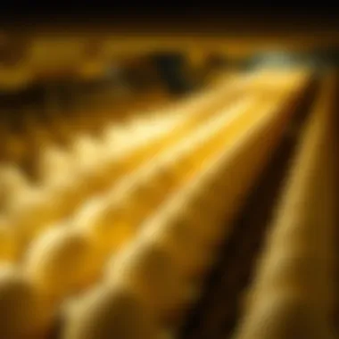 Visual representation of egg management techniques