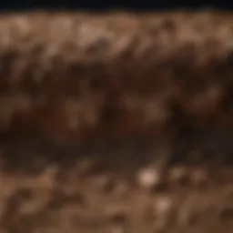 Close-up of soil layers showcasing texture and composition