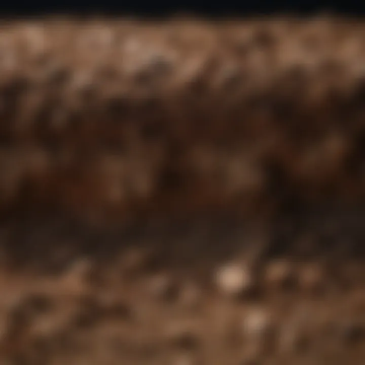 Close-up of soil layers showcasing texture and composition