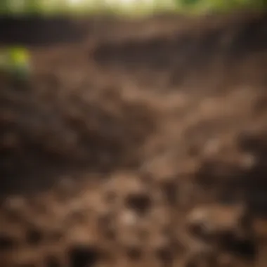 Enriching Soil with Organic Amendments Application of organic amendments enriching soil quality