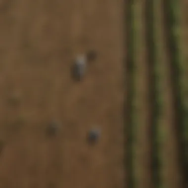 Aerial view of diverse crops in a sustainable farm.