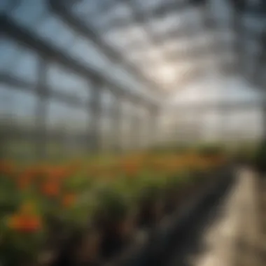 Innovative climate control systems in a greenhouse environment