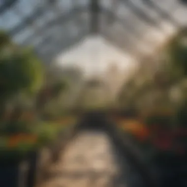 Key Structure of a Greenhouse A well-structured greenhouse showcasing various plant species thriving