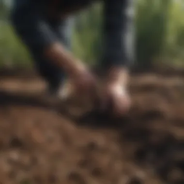 Gardener inspecting the soil quality before planting grass seed