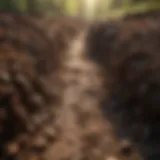 Contaminated soil with visible pollutants