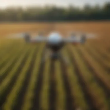 Drone monitoring crops for effective management