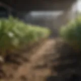 Overview of agricultural quality systems
