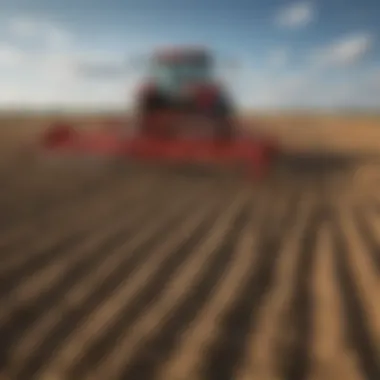 Impact of Rotary Rakes on Sustainable Farming Practices A field demonstrating the impact of sustainable farming practices with rotary rakes.