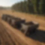 Brock bin showcasing various sizes for agricultural storage
