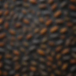 A variety of edible insects displayed for sale.