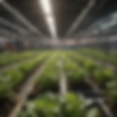 An infographic detailing the benefits of hydroponic propagation for modern agriculture.