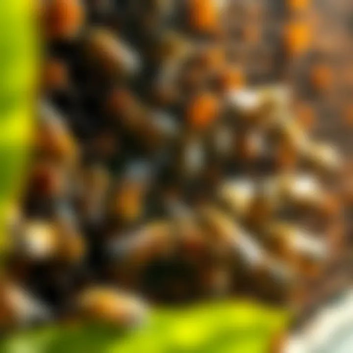 Collaboration in the Hive A diverse group of honeybees working collaboratively inside a hive
