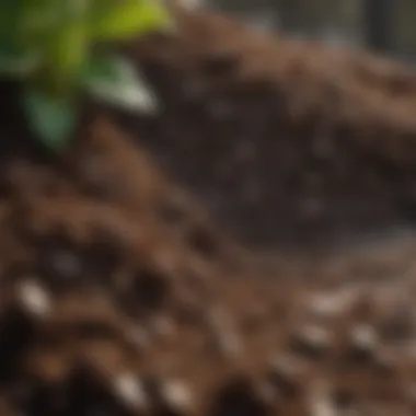 Importance of Organic Matter in Soil Composting materials with a focus on organic matter