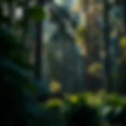 Lush forest landscape showcasing biodiversity