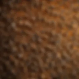 A close-up of a beehive showcasing its intricate structure