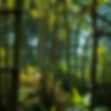 Ecological Advantages of Bamboo A thriving garden showcasing the ecological benefits of using bamboo.