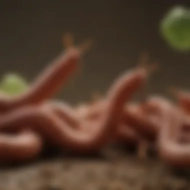 Worms interacting with food sources