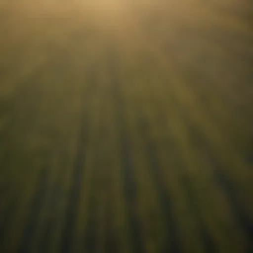 Aerial view of Choteau farmland showcasing diverse crops