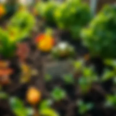Thriving Garden with Happy Frog Compost Vibrant garden showcasing plants thriving in soil enriched with Happy Frog compost