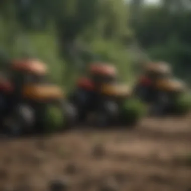 Comparison of Weedeater Models Different types of weedeaters displayed side by side