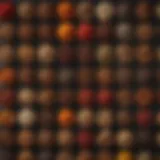 A vibrant display of various organic spices in their natural forms, showcasing their unique colors and textures.