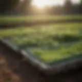 Heavy duty fodder trays in a lush green farm setting
