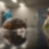 A sophisticated pest control inspection in a hospital