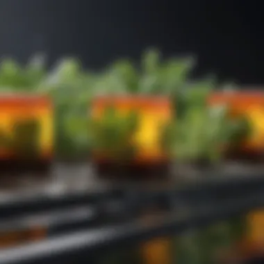 Advantages of Using Grow Cubes Comparative chart showcasing benefits of grow cubes