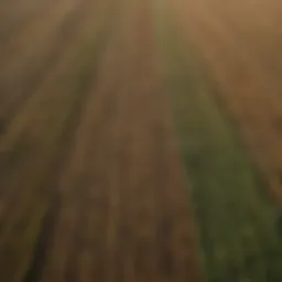 Aerial view of diverse farmland showcasing various crops
