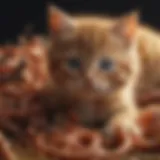 Illustration of different types of worms affecting kittens