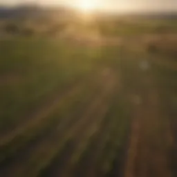Aerial view of a sprawling agricultural land