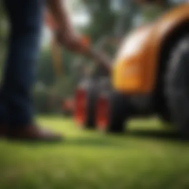 Close-up of grass being trimmed expertly