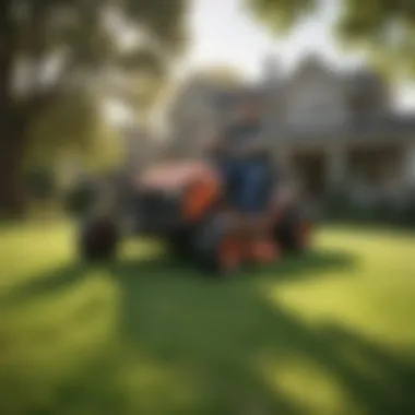 Homeowner assessing their lawn care needs