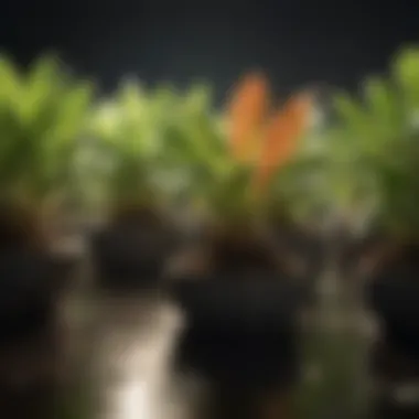Comparison of light spectrum emitted by various sources